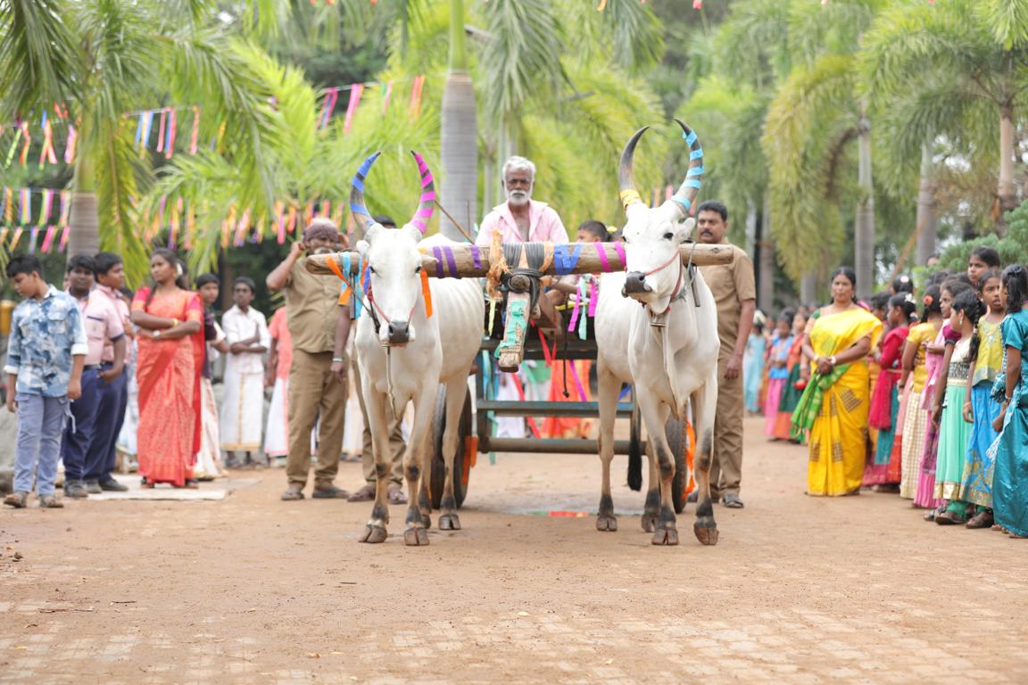 Pongal Celebration